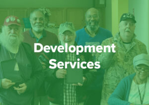 DevelopmentServices